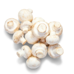 Different Ways To Prepare Yourself For An Ayahuasca Retreat