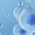 Stem Cell Therapy for Alzheimer’s Disease