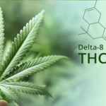 Is Delta 8 Legal In the State of Ohio?